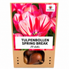 Tulpenbollen Spring Break — rood-oranje tulp, 20 stuks (maat 11/12)