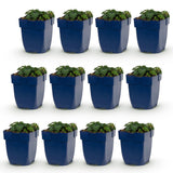 Green boutiQ - Vasteplant - Geranium sang. Max Frei - Ooievaarsbek - Bodembedekkend - Roze - 12 Planten - Pot 11cm - Hoogte 15-25cm