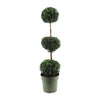 Buxus Semp. Trio-Ball - Ø27cm - ↕110cm