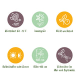 Green boutiQ - 16x Ligustrum ovalifolium Aureum - Bontbladige Liguster - Haagplanten - Groenblijvend - Bont - Pot 9cm - Hoogte 35-45cm
