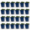 Green boutiQ - Vasteplant - Geranium sang. Max Frei - Ooievaarsbek - Bodembedekkend - Roze - 24 Planten - Pot 11cm - Hoogte 15-25cm