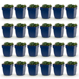 Green boutiQ - Vasteplant - Geranium sang. Max Frei - Ooievaarsbek - Bodembedekkend - Roze - 24 Planten - Pot 11cm - Hoogte 15-25cm