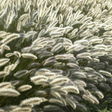 48x Pennisetum alopecuroides 'Hameln' - ↕10-25cm - Ø9cm
