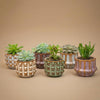 Succulenten Set van 6 in Keramische Mini Potjes Barcelona -↑ 8–12 cm