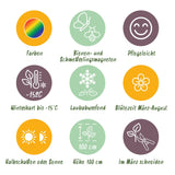 Green boutiQ - Vasteplant - Borderpakket - Wit - Diversen - Soorten en kleuren - 6 Planten - Pot 11cm - Hoogte 15-25cm