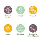 Green boutiQ - Klimplant - Hedera helix - Blad groen - Groenblijvend - 2 planten - Pot 11cm Hoogte 40cm