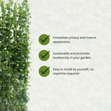 Hedera Hibernica - Klimop - Kant-en-Klaar Haag |↔120cm - ↨150 cm