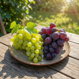 Green boutiQ - Fruitplant - Vitis vinifera Himrod - Vanessa - Druivenplant - Pitarm - Blauw & Witte Druif - 2 Planten - Pot 15cm - Hoogte 50cm
