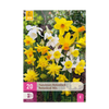 Green boutiQ - Bloembollen - Narcis Botanical mix - Kleur Geel en Wit - 20 stuks - Bolmaat 10/12 - XXL Pack