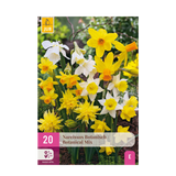 Green boutiQ - Bloembollen - Narcis Botanical mix - Kleur Geel en Wit - 20 stuks - Bolmaat 10/12 - XXL Pack