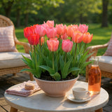 Green boutiQ - Bloembollen - Tulp Pink en Red - Kleur Roze en Rood - 40 stuks - Bolmaat 10/12