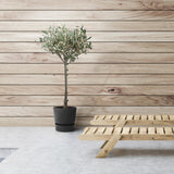 Olea - Ø19cm - ↕90cm