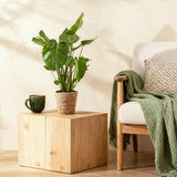 Green BoutiQ - Green is... Kamerplanten - Monstera Deliciosa - Gatenplant - Weinig onderhoud - met mand - Groen - 1 Plant - Pot 21cm - Hoogte 70-80cm