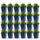 Green boutiQ - Vasteplant - Campanula posch. Lisduggan Variety - Ridderspoor - Bodembedekkend - Wit - 24 Planten - Pot 11cm - Hoogte 15-25cm