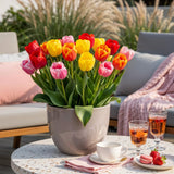 Green boutiQ - Bloembollen - Tulp Darwin Hybride Mix - Diversen Kleuren - 40 stuks - Bolmaat 10/12