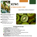 Biologische fruitplantenmix "Zomervruchten" — 4 planten