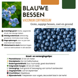 Biologische fruitplantenmix "Zomervruchten" — 4 planten