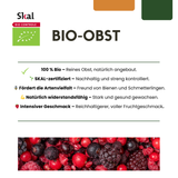 6 x Biologische Kruisbessenplanten — 6 stuks — Ø13 cm, 20 cm hoog
