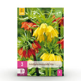 Green boutiQ - Bloembollen - Fritillaria Imperialis Mix - Kleur Geel en Oranje - 3 stuks - Bolmaat 18/20 - XXL Pack