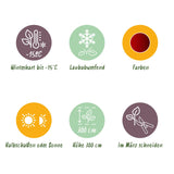 Green boutiQ - Tuinplant - Acer palmatum Jerre Swarts - Japanse Esdoorn - Bladverliezend - Oranje-Rood - 1 - Pot 26cm - Hoogte 90cm