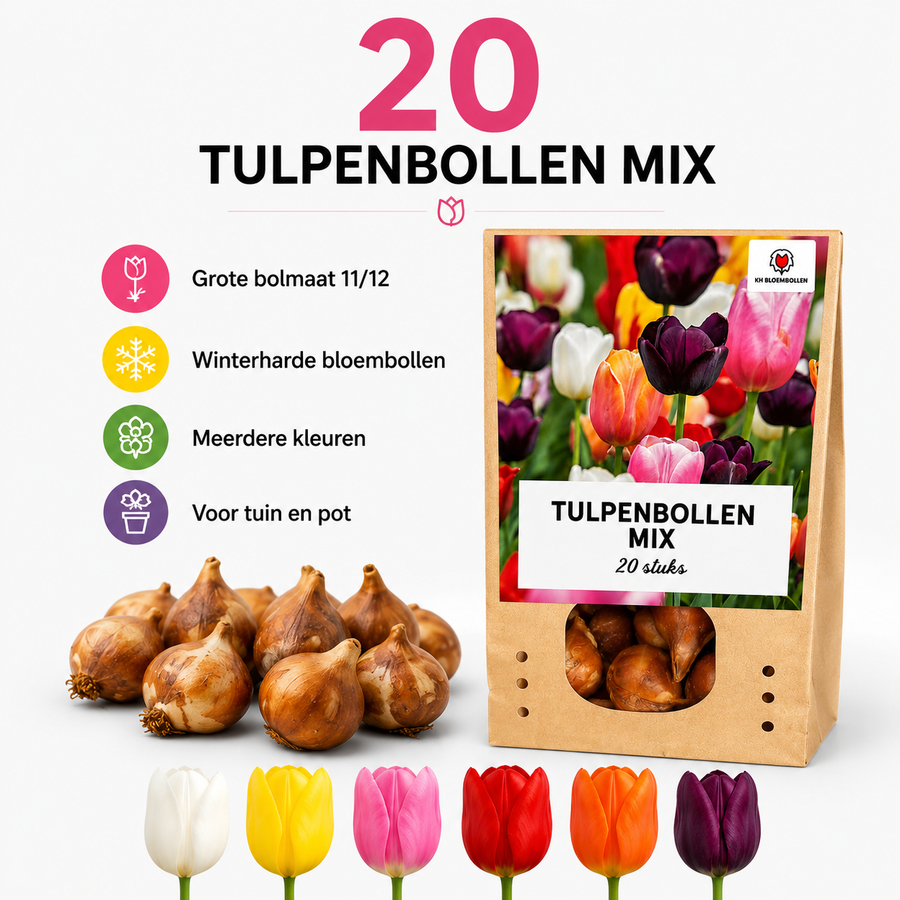 Tulpenbollen mix — 10 zakjes van 20 stuks (maat 11/12)