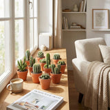 Mini Cactus Mix - 12 Stuks - Ø 8,1 cm - Hoogte: 5-10 cm - Terracotta Potten