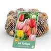 Green boutiQ - Bloembollen - Tulp Darwin Hybride Mix - Diversen Kleuren - 40 stuks - Bolmaat 10/12