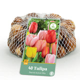 Green boutiQ - Bloembollen - Tulp Darwin Hybride Mix - Diversen Kleuren - 40 stuks - Bolmaat 10/12