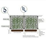 Hedera Hibernica - Klimop - Kant-en-Klaar Haag |↔120cm - ↨120 cm
