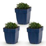 Green boutiQ - Vasteplant - Campanula portenschlagiana - Perzikbladklokje - Bodembedekkend - Roze - 3 Planten - Pot 11cm - Hoogte 15-25cm