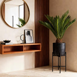 Green boutiQ - Kamerplant - Cycas revoluta - Palmvaren - Weinig onderhoud - Groen - 2 - Pot 17cm - Hoogte 55-65cm