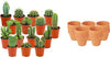 Mini Cactus Mix - 15 Stuks - Ø 8,1 cm - Hoogte: 5-10 cm - Terracotta Potten