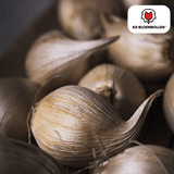 Irisbollen Alaska — witte iris, 25 stuks