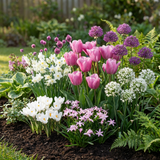 1000x Bulb Garden Pink - Bollentuinroze - Diversen - Zomerbloeier - Bolmaat 10/12