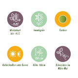 Green boutiQ - Tuinplant - Nandina Lemon & Lime - Geel - 2 Planten - Groenblijvend - Weinig Onderhoud - Pot 17cm Hoogte 45cm