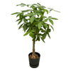 Pachira Aquatica inclusief elho Greenville Round zwart - 140cm - Ø30