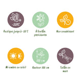 Green boutiQ - 8x Ilex crenata Golden Gem - Japanse Hulst - Haagplanten - Groenblijvend - Geel - Pot 9cm - Hoogte 20-30cm