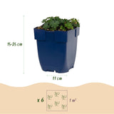 Green boutiQ - Vasteplant - Geranium sang. Max Frei - Ooievaarsbek - Bodembedekkend - Roze - 24 Planten - Pot 11cm - Hoogte 15-25cm