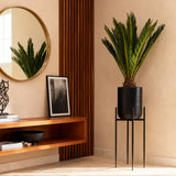 Green boutiQ - Kamerplant - Cycas revoluta - Palmvaren - Weinig onderhoud - Groen - 1 - Pot 15cm - Hoogte 45-55cm
