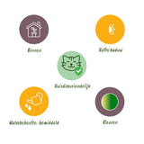 Green boutiQ - Kamerplant - Chlorophytum comosum Variegatum - Kattengras - Huisdiervriendelijk - Bont - 2 Planten - Pot 12cm - Hoogte 25-30cm