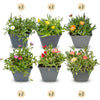 12x - Delosperma mix - Ø7cm - ↕10-12cm