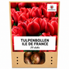 Tulp Ile de France — dieprood