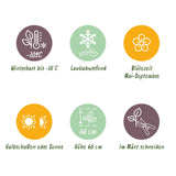 Green boutiQ - Vasteplant - Nepeta sib. Wild Orchid - Kattenkruid - Bijen en Vlinderlokkers - Roze - 12 Planten - Pot 11cm - Hoogte 15-25cm