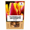 Tulpenbollen Jan Seignette — rood-geel gestreept, 20 stuks (maat 11/12)
