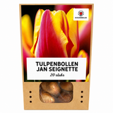 Tulpenbollen Jan Seignette — rood-geel gestreept, 20 stuks (maat 11/12)