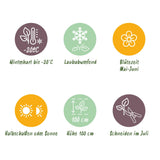 Green boutiQ - Dwerg Rhododendron - Rhododendron Bloombux Magenta - Bloeiende Buxus - Weinig Onderhoud - Roze Bloem - 2 Planten - Pot 23cm - Hoogte 45-55cm