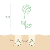 Green boutiQ - Bloembollen - Ranunculus Mix - Diversen Kleuren - 40 stuks - Bolmaat 5/6 - XXL Pack