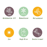 Green boutiQ - Grassen - Imperata cylindrica Red Baron - Japans bloedgras - Rode uitlopers - Rood - 6 Planten - Pot 11cm - Hoogte 15-25cm