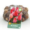 Green boutiQ - Bloembollen - Tulp Pink en Red - Kleur Roze en Rood - 40 stuks - Bolmaat 10/12