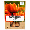 Tulpenbollen Icoon — oranje dubbelbloemige tulp, 20 stuks (maat 11/12)